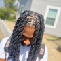 2 strand twist (not dreaded )