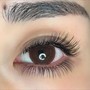 Medium Volume lashes refill 2 week