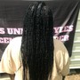 small senegalese Twist