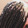 small boho box Braids