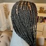 Medium Island Twists