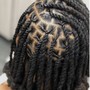 Natural Twists (regular to large)