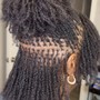 Natural Twists (regular to large)