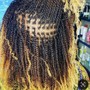 Unstressed Locs Braids Wigs