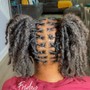 Adult Retwist and basic style