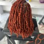 Tree Braids