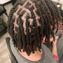 Loc Retwist +  2-Strand Twists