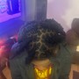 Regular Natural Hair 2 Strand Twist/ Box Braids