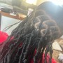 Regular Natural Hair 2 Strand Twist/ Box Braids