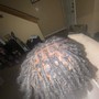 Regular Natural Hair 2 Strand Twist/ Box Braids