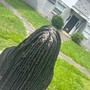 Regular Natural Hair 2 Strand Twist/ Box Braids