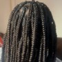 Regular Natural Hair 2 Strand Twist/ Box Braids