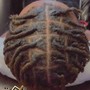 Starter Locs