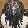 Starter Locs