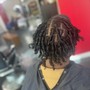 Starter Locs