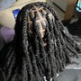 Island Twists