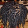 Male/Female Starter Locs