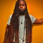 Loc Maintenance (interlock) traditional locs 40ct-150ct locs