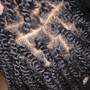 2 Strand Twists