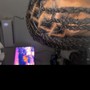 8 cornrows