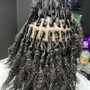 Starter Locs