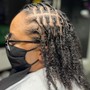 Starter Locs