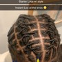 Starter Locs