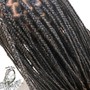 Knotless Braids (Small)