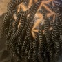 2 Strand Twist