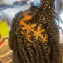 2 Strand Twist