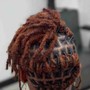 Starter Locs