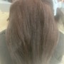 Root Touch Up