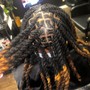 Loc Retwist/Apple Cider Vinegar Cleanse/Style