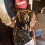 Kid's Braids