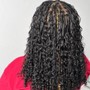 Senegalese Twist ( medium)