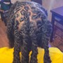 2 STRAND TWIST WITH NATURAL HAIR