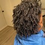 Sista loc maintenance