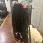 Kid's Braids With Extensions