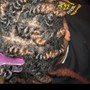 Partial Sew In