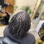 Root Touch Up