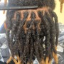 Instant Locs - Extensions