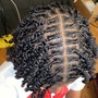 Starter Locs