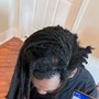 (Starters) Loc Coils