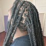 (Starters) Loc Coils