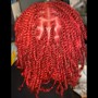 Starter Locs