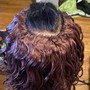 Root Touch Up