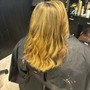 Bleach and Tone(medium hair up to shoulder )