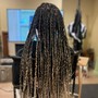 Crochet Braids