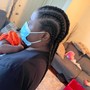 2-4 Feed in Braids