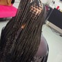 Knotless braids medium size